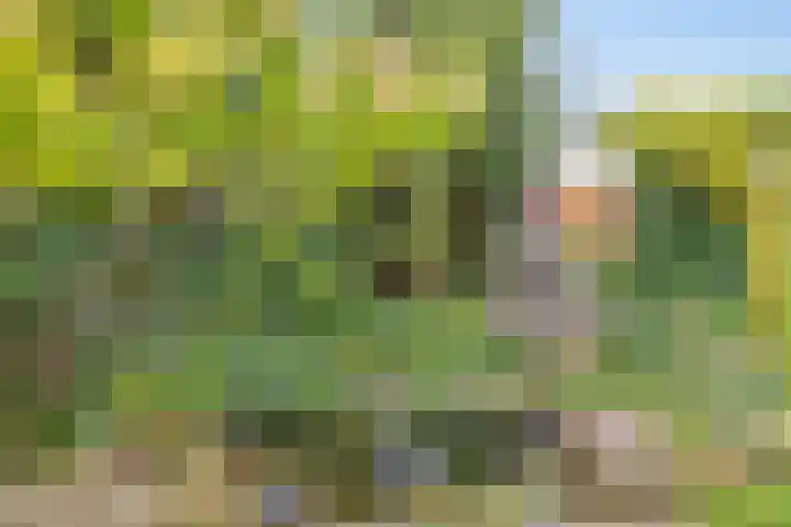 Halsterseweg 200 Bergen op Zoom thumbnail 37