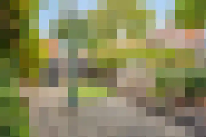 Halsterseweg 200 Bergen op Zoom thumbnail 38
