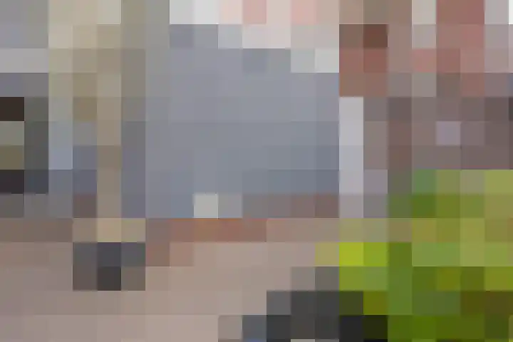 Halsterseweg 200 Bergen op Zoom thumbnail 39