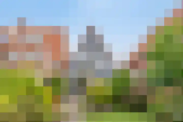 Halsterseweg 200 Bergen op Zoom thumbnail 4