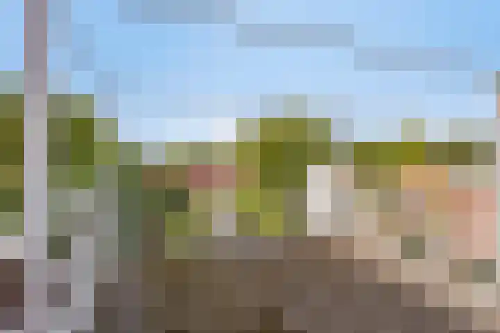Halsterseweg 200 Bergen op Zoom thumbnail 41