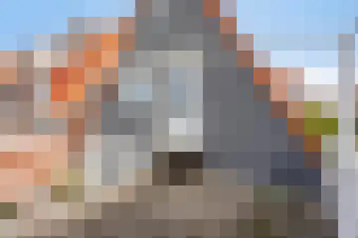 Halsterseweg 200 Bergen op Zoom thumbnail 42