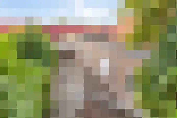 Halsterseweg 200 Bergen op Zoom thumbnail 43