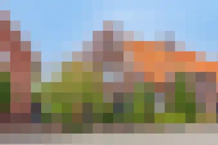 Halsterseweg 200 Bergen op Zoom thumbnail 47