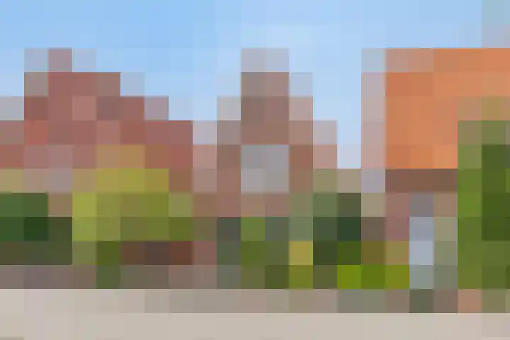 Halsterseweg 200 Bergen op Zoom thumbnail 48