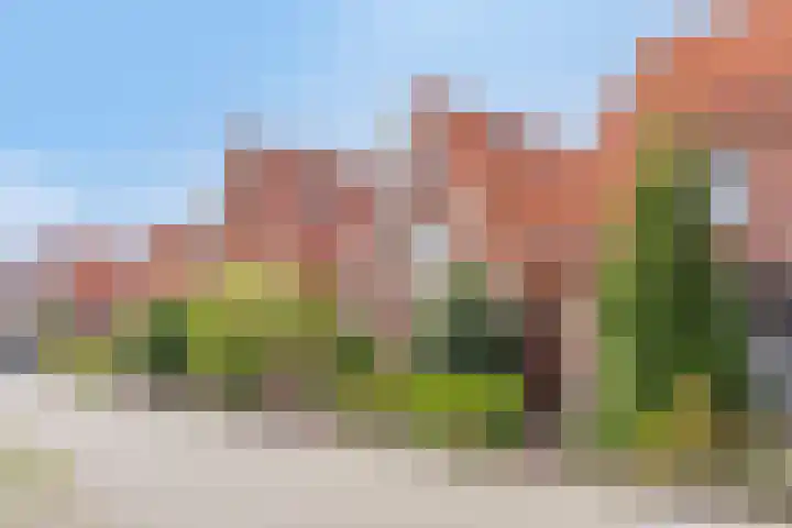 Halsterseweg 200 Bergen op Zoom thumbnail 49