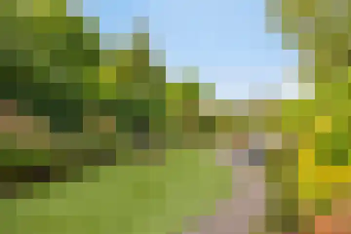 Halsterseweg 200 Bergen op Zoom thumbnail 5