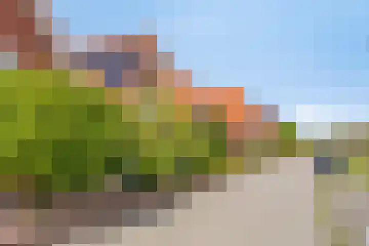 Halsterseweg 200 Bergen op Zoom thumbnail 50