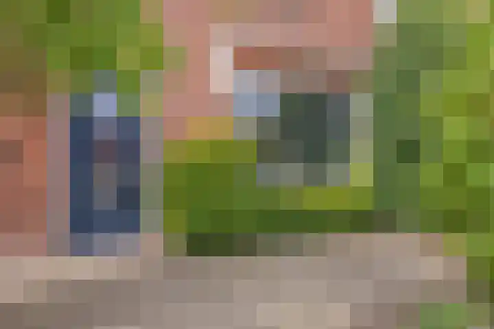 Halsterseweg 200 Bergen op Zoom thumbnail 6