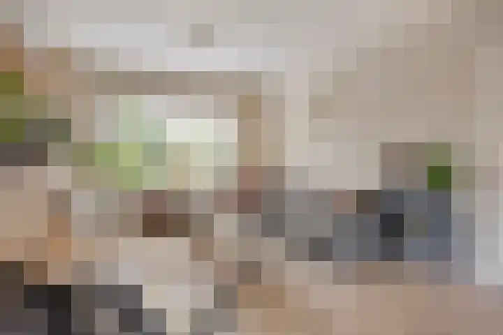 Halsterseweg 200 Bergen op Zoom thumbnail 9