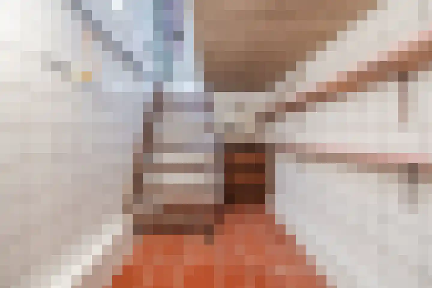 Halsterseweg 22 Halsteren thumbnail 29