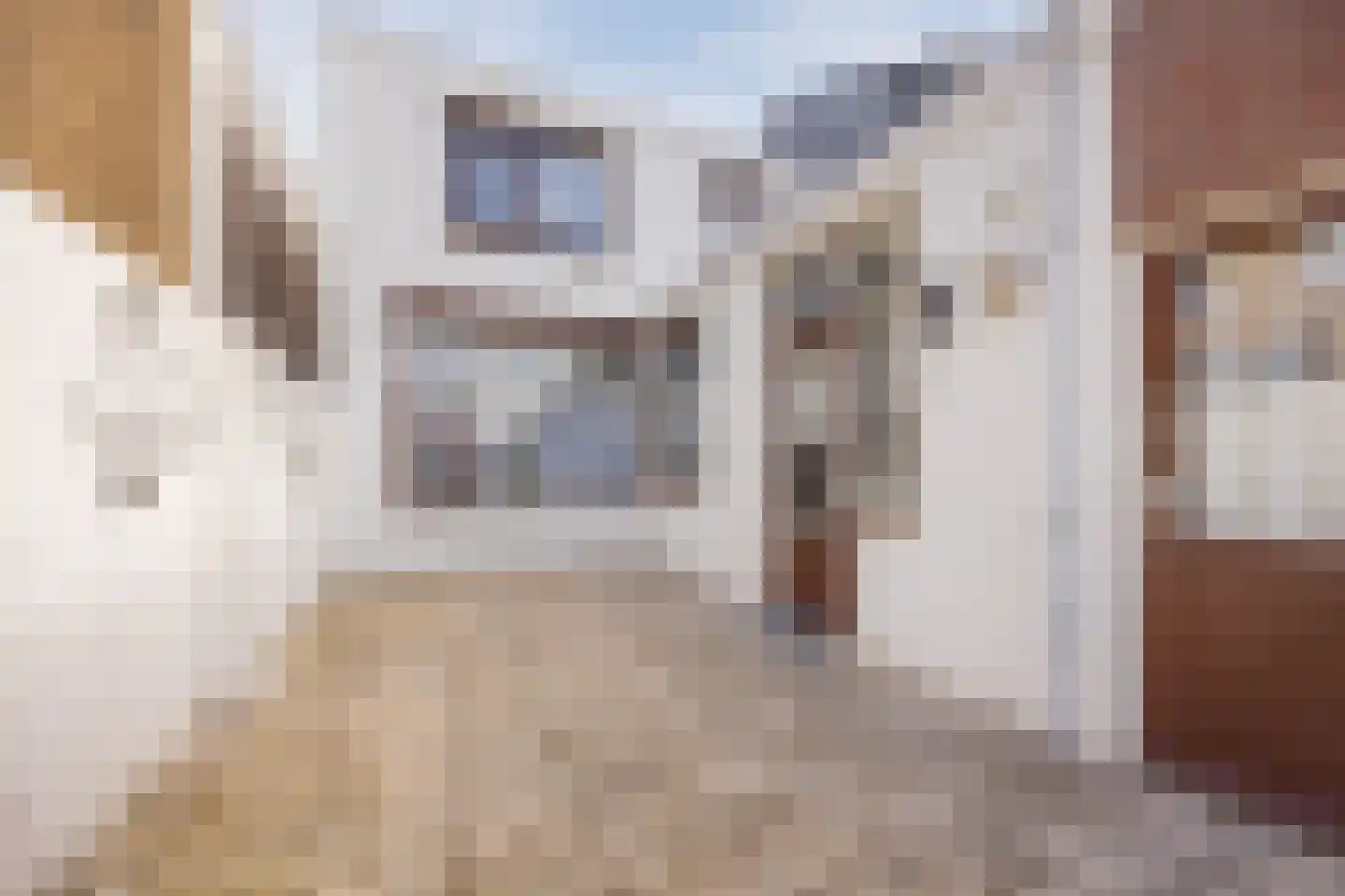 Halsterseweg 22 Halsteren thumbnail 42