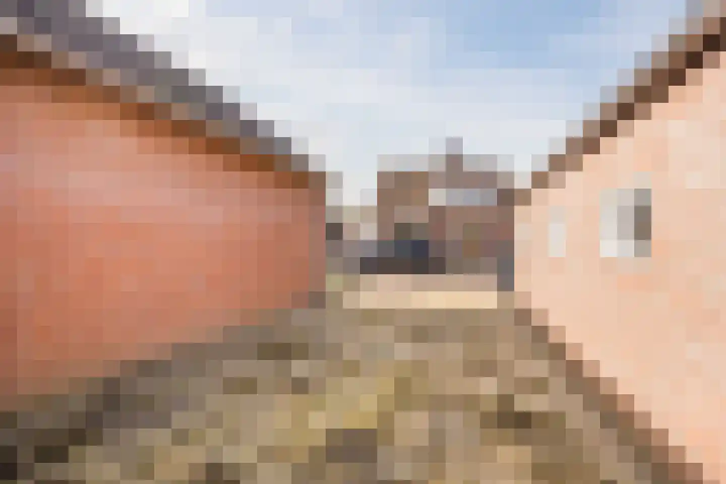 Halsterseweg 22 Halsteren thumbnail 49
