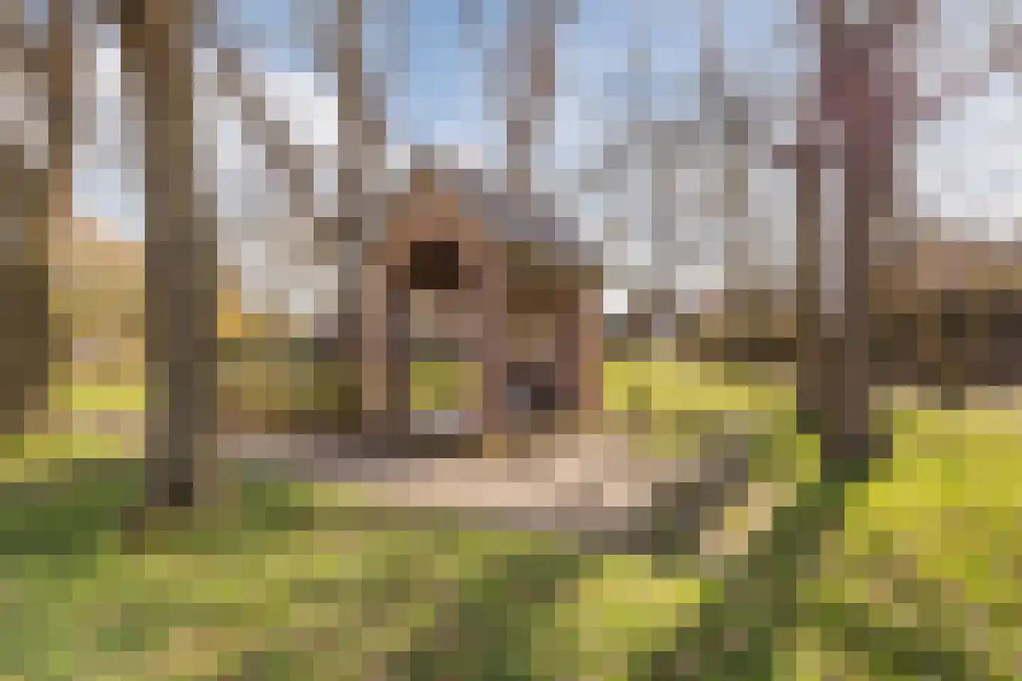 Halsterseweg 22 Halsteren thumbnail 55