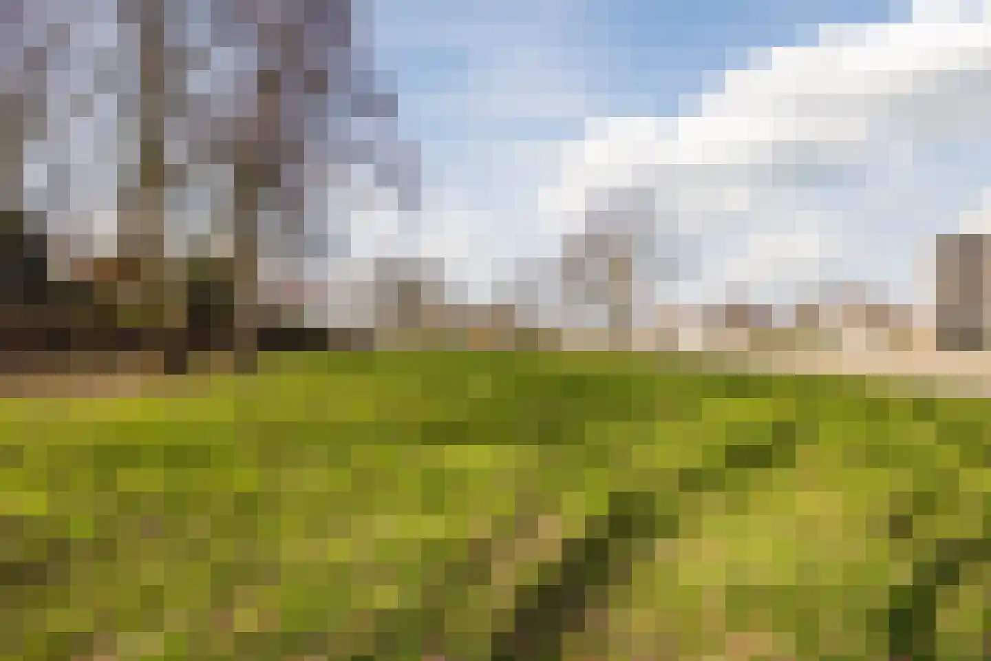 Halsterseweg 22 Halsteren thumbnail 56