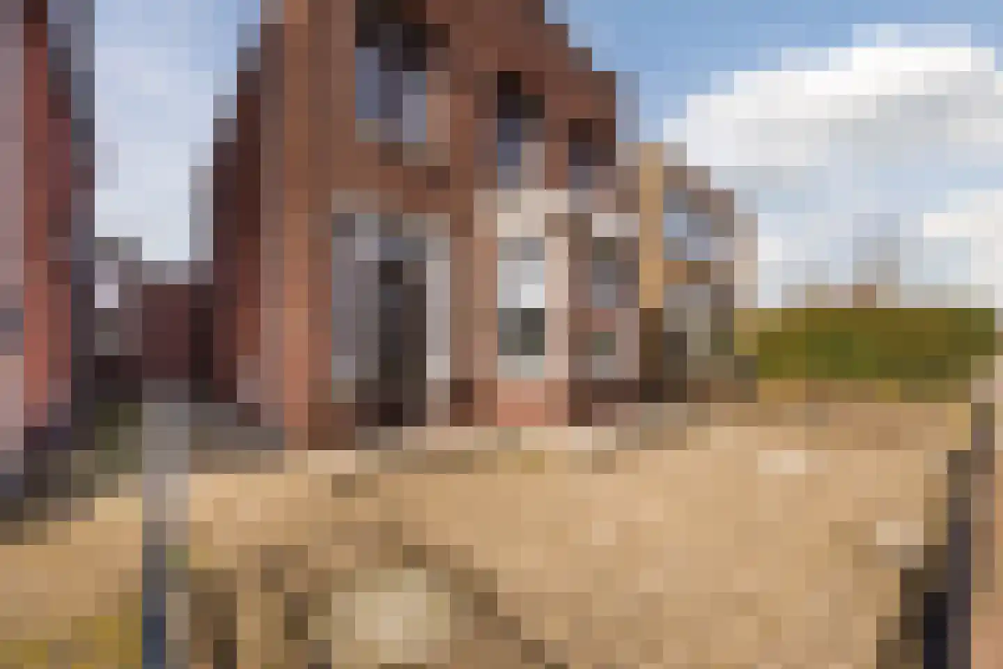 Halsterseweg 22 Halsteren thumbnail 9