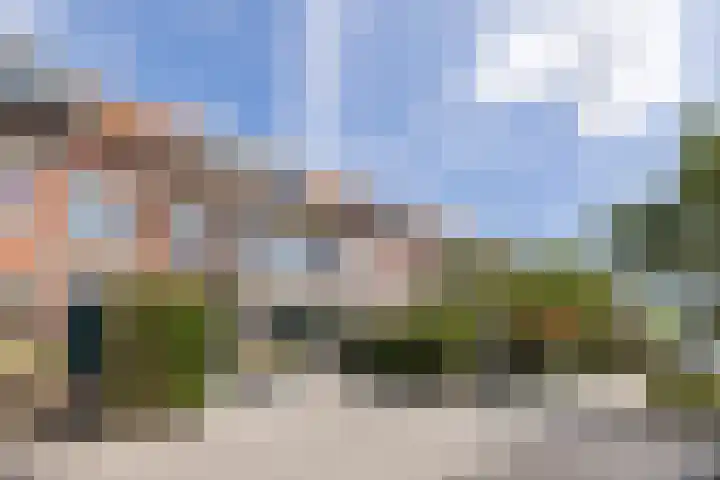 Halsterseweg 221 Bergen op Zoom thumbnail 12