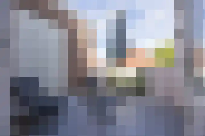 Halsterseweg 221 Bergen op Zoom thumbnail 6