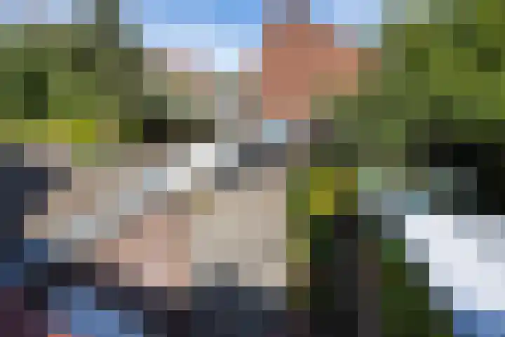 Halsterseweg 221 Bergen op Zoom thumbnail 64