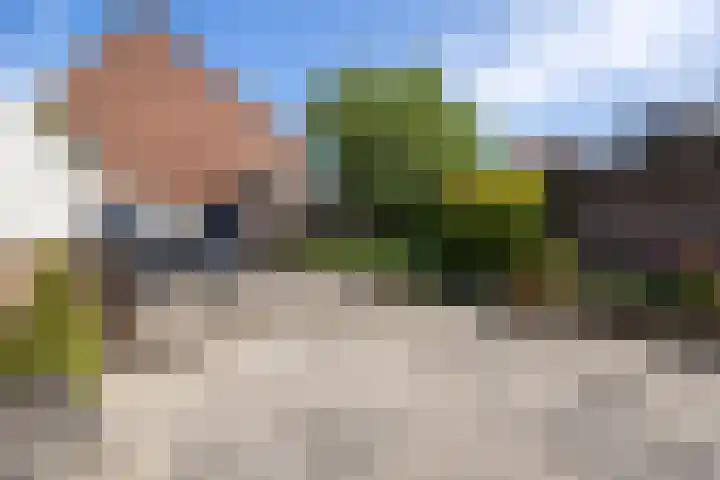 Halsterseweg 221 Bergen op Zoom thumbnail 66
