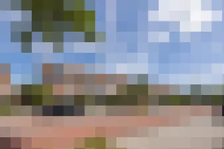 Halsterseweg 221 Bergen op Zoom thumbnail 7