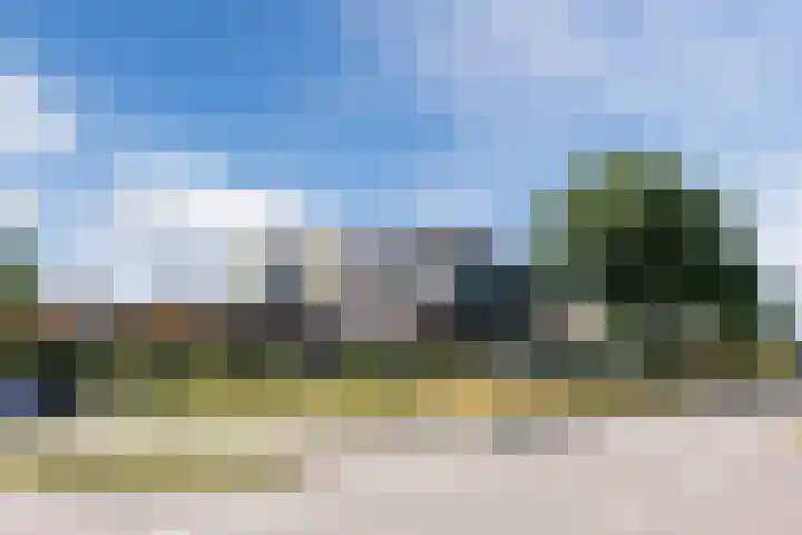 Halsterseweg 221 Bergen op Zoom thumbnail 72