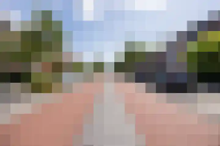 Halsterseweg 221 Bergen op Zoom thumbnail 8