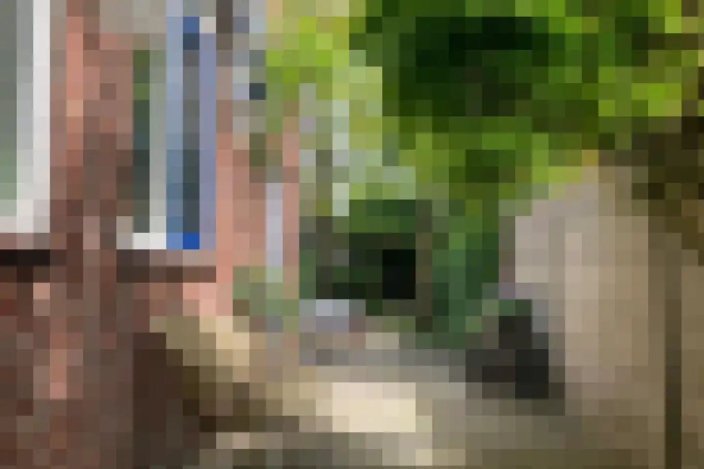 Halsterseweg 247 Bergen op Zoom thumbnail 39
