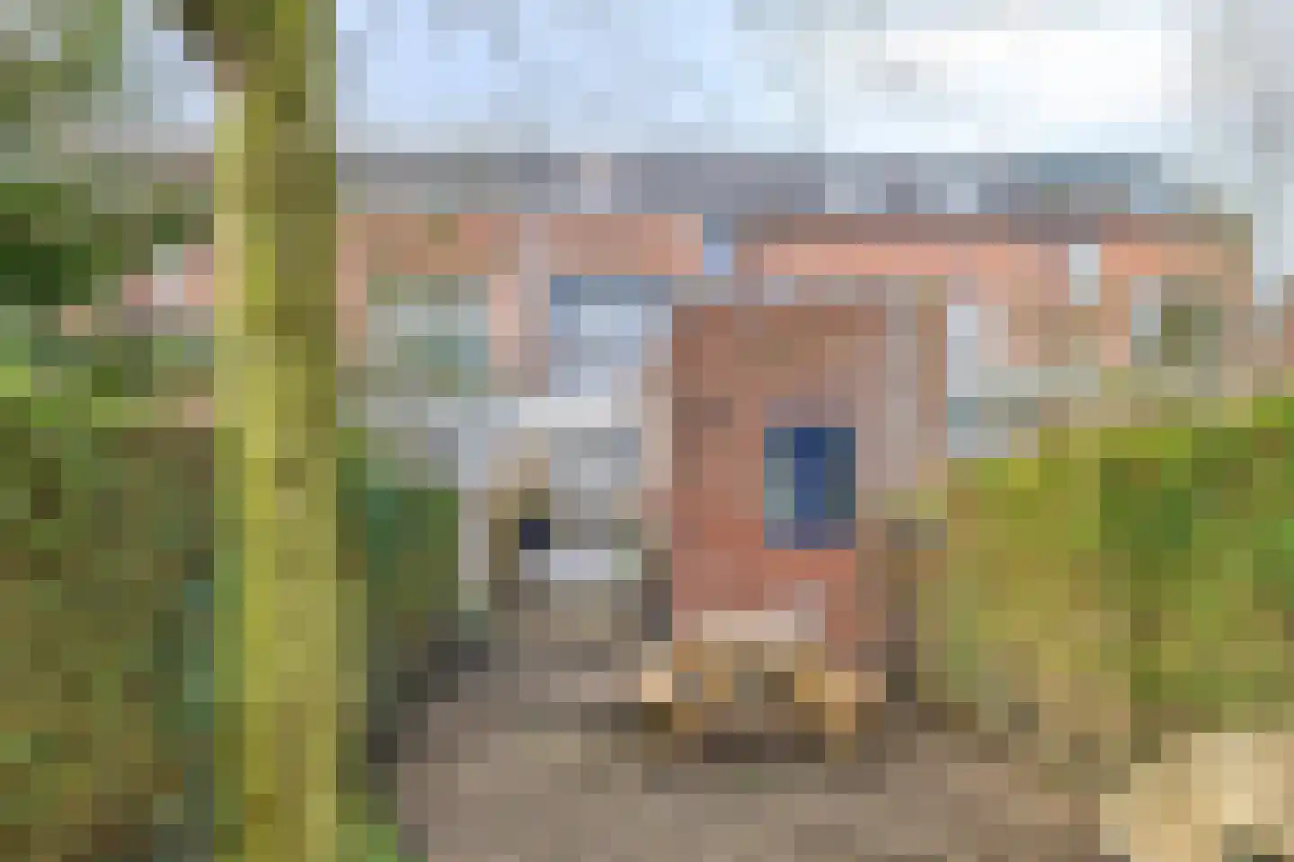 Halsterseweg 247 Bergen op Zoom thumbnail 39
