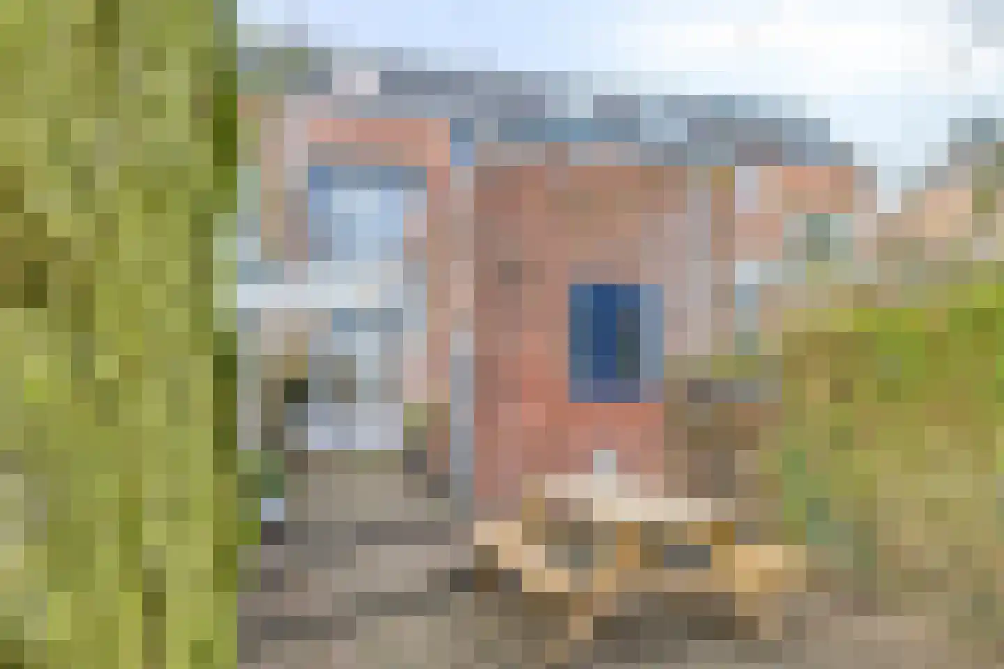 Halsterseweg 247 Bergen op Zoom thumbnail 40