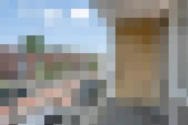 Halsterseweg 253 Bergen op Zoom thumbnail 27