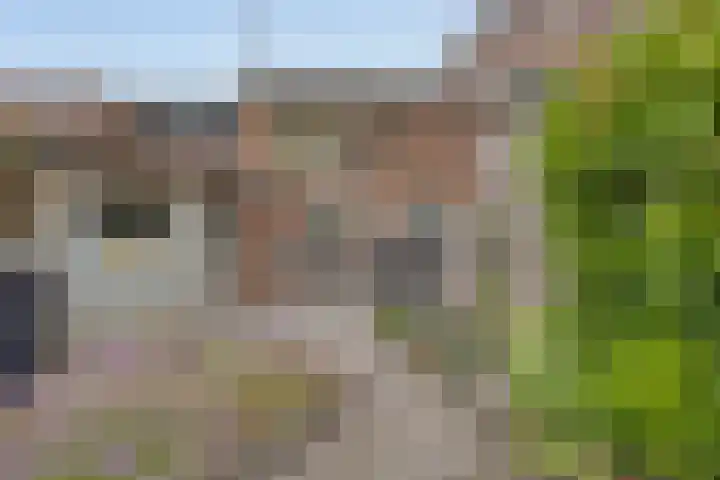 Halsterseweg 253 Bergen op Zoom thumbnail 31