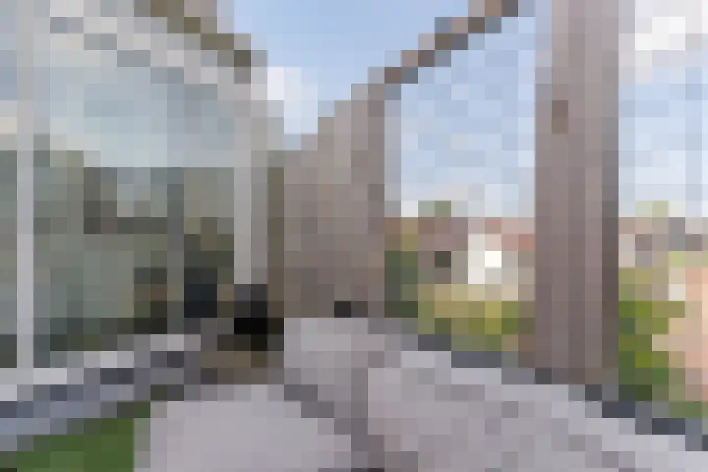 Halsterseweg 273 Bergen op Zoom thumbnail 20
