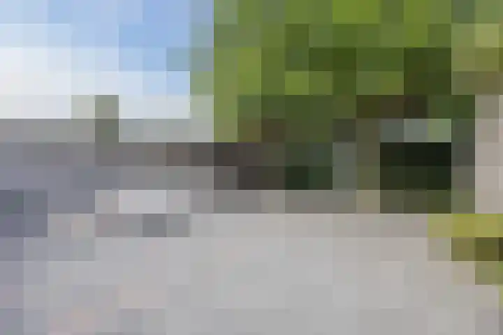Halsterseweg 278 Bergen op Zoom thumbnail 57