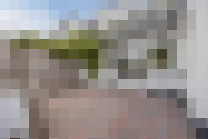 Halsterseweg 278 Bergen op Zoom thumbnail 62