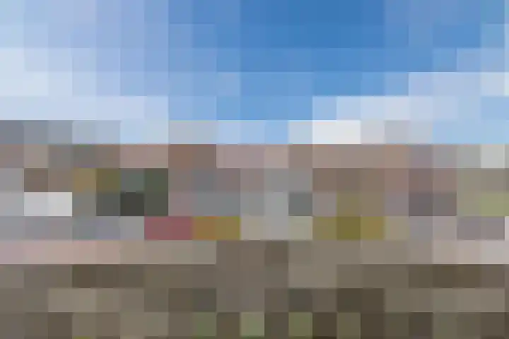Halsterseweg 278 Bergen op Zoom thumbnail 66