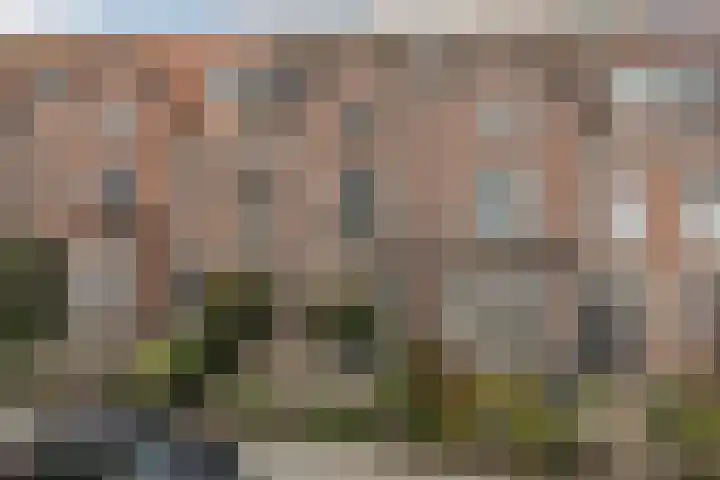 Halsterseweg 278 Bergen op Zoom thumbnail 70