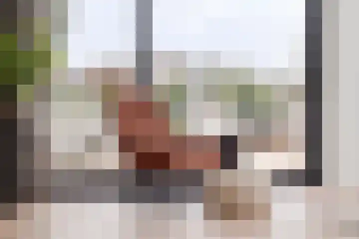 Halsterseweg 299 Bergen op Zoom thumbnail 31