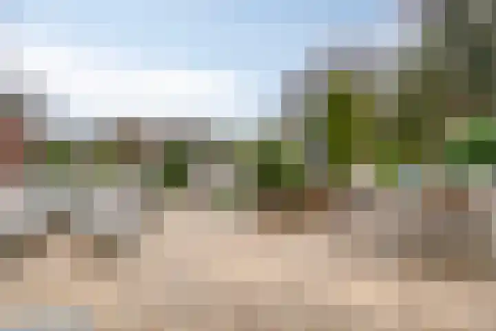 Halsterseweg 299 Bergen op Zoom thumbnail 69