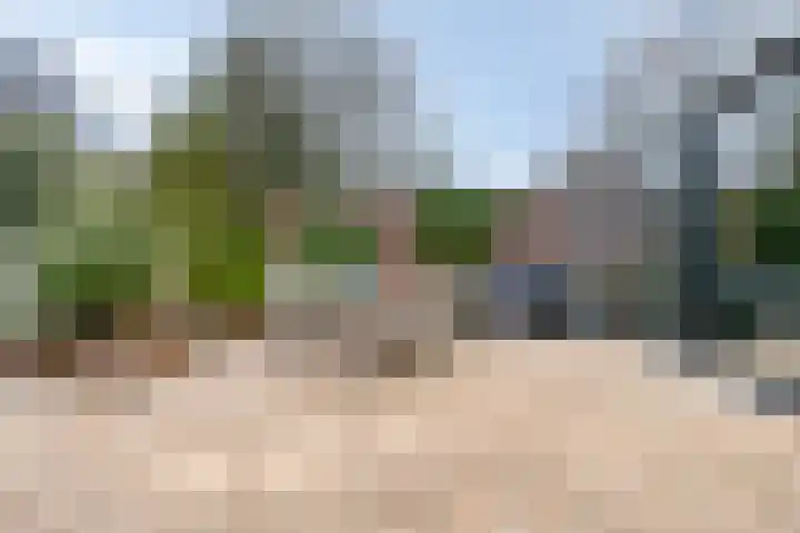 Halsterseweg 299 Bergen op Zoom thumbnail 71