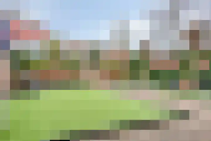 Halsterseweg 299 Bergen op Zoom thumbnail 80