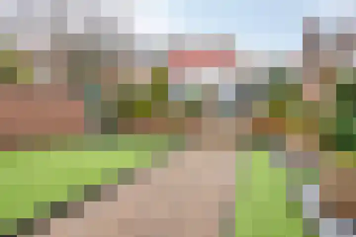 Halsterseweg 299 Bergen op Zoom thumbnail 81