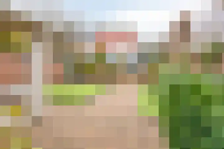 Halsterseweg 299 Bergen op Zoom thumbnail 82