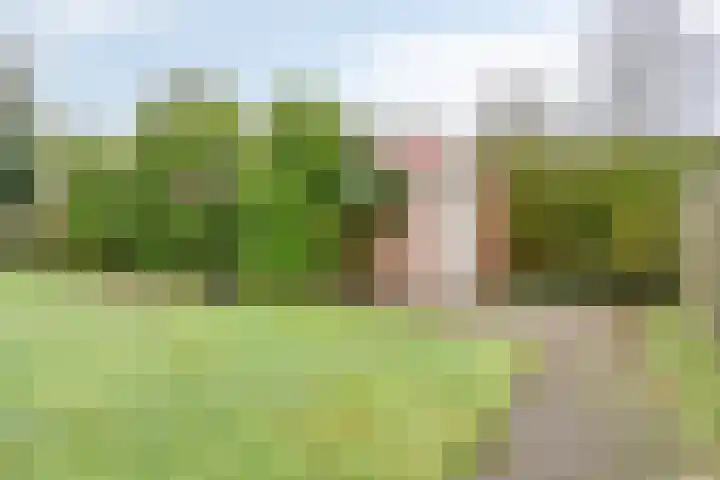 Halsterseweg 299 Bergen op Zoom thumbnail 83