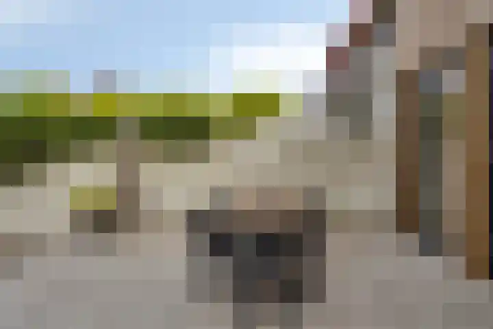 Halsterseweg 306 Bergen op Zoom thumbnail 38
