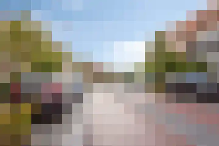 Halsterseweg 306 Bergen op Zoom thumbnail 41