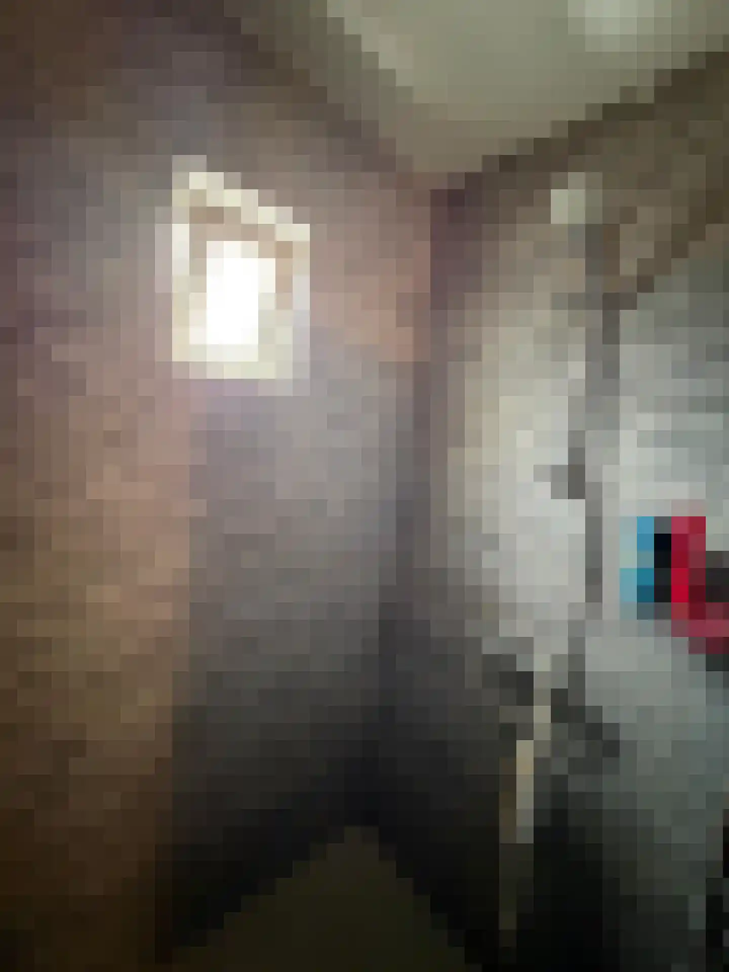 Halsterseweg 60 Halsteren thumbnail 41