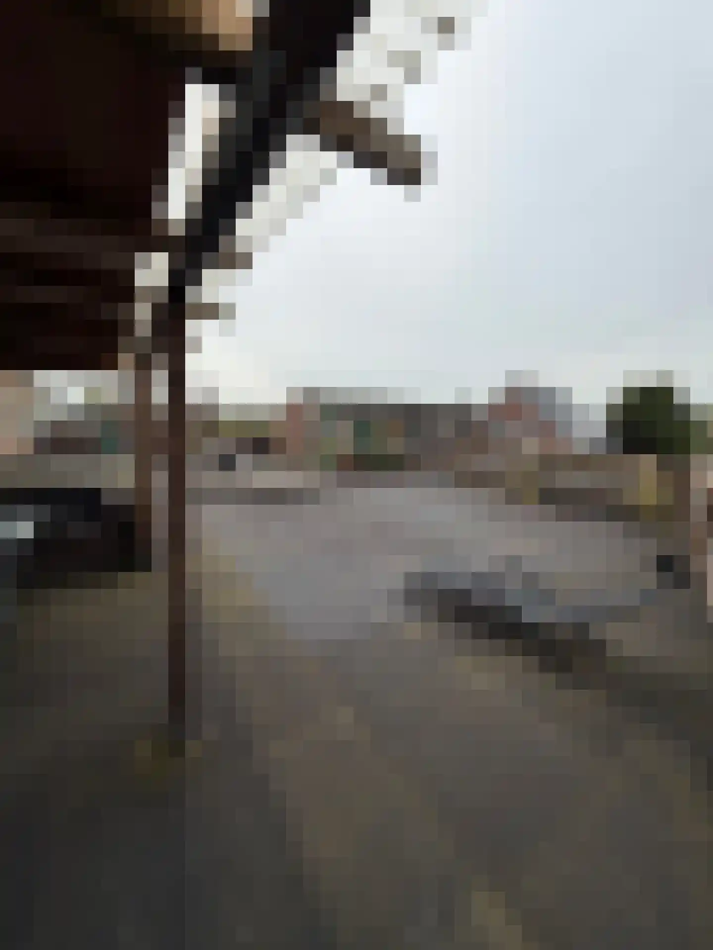 Halsterseweg 60 Halsteren thumbnail 55