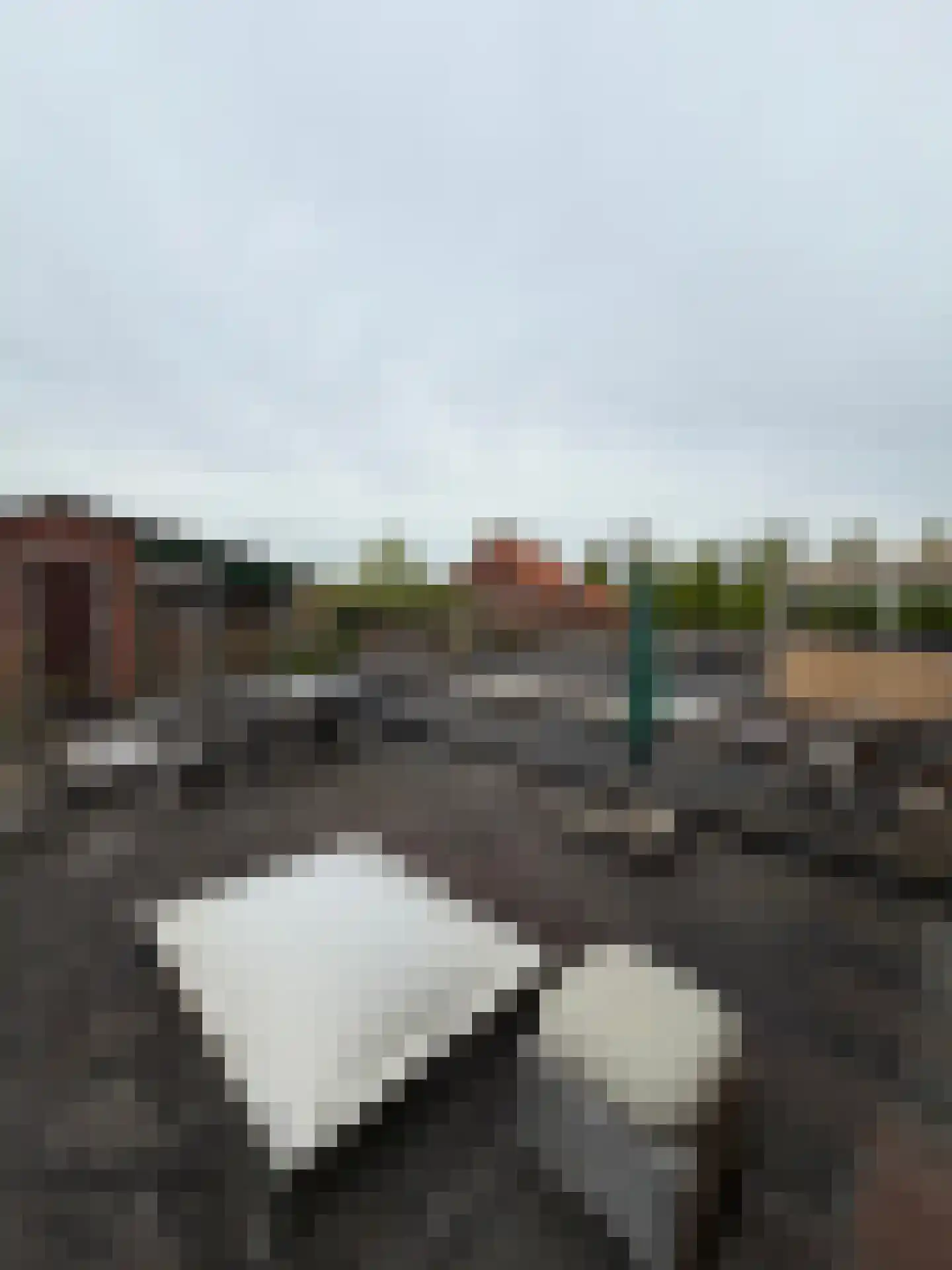 Halsterseweg 60 Halsteren thumbnail 56