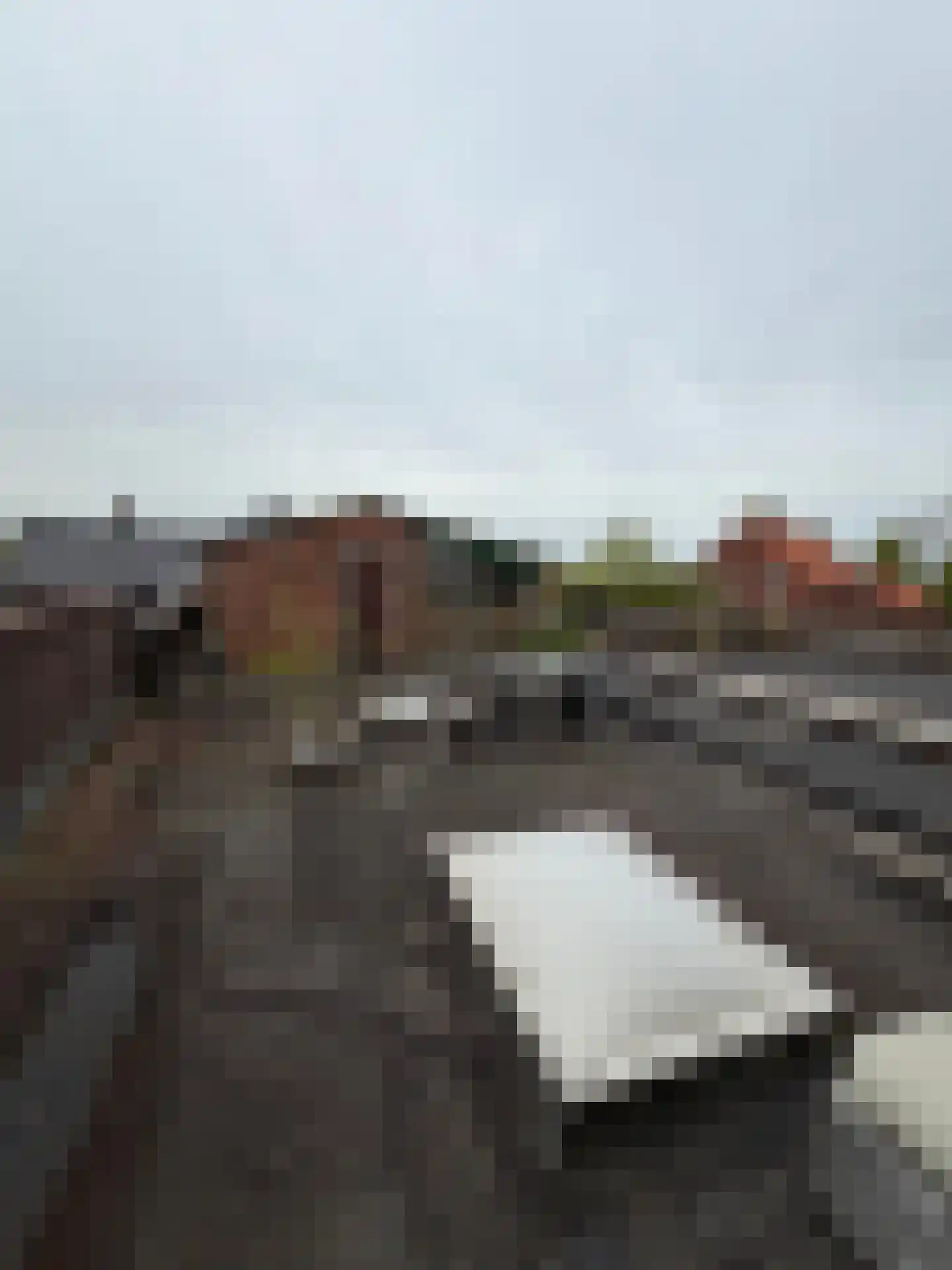 Halsterseweg 60 Halsteren thumbnail 58